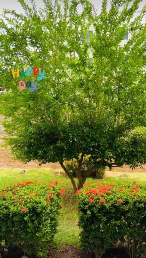 Apartamento, Zona Leste, Otima Localizacao. Teresina Dış mekan fotoğraf
